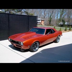 Meet your Posher, Freddy